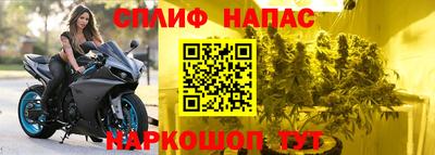 МДПВ Заводоуковск